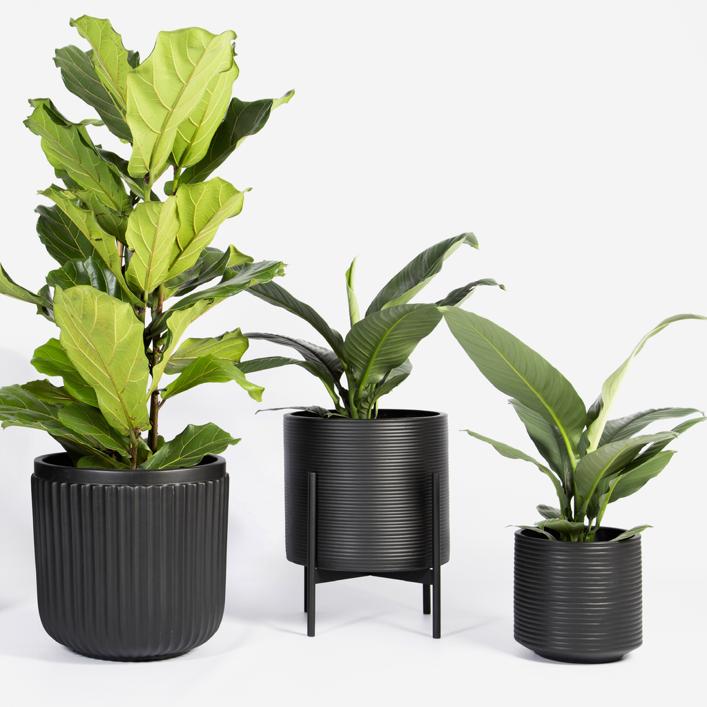 Ribbed Floor Planter - Small