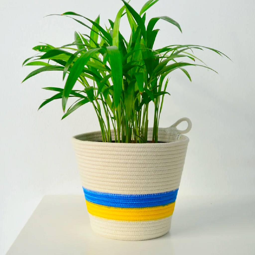 The Swede Planter