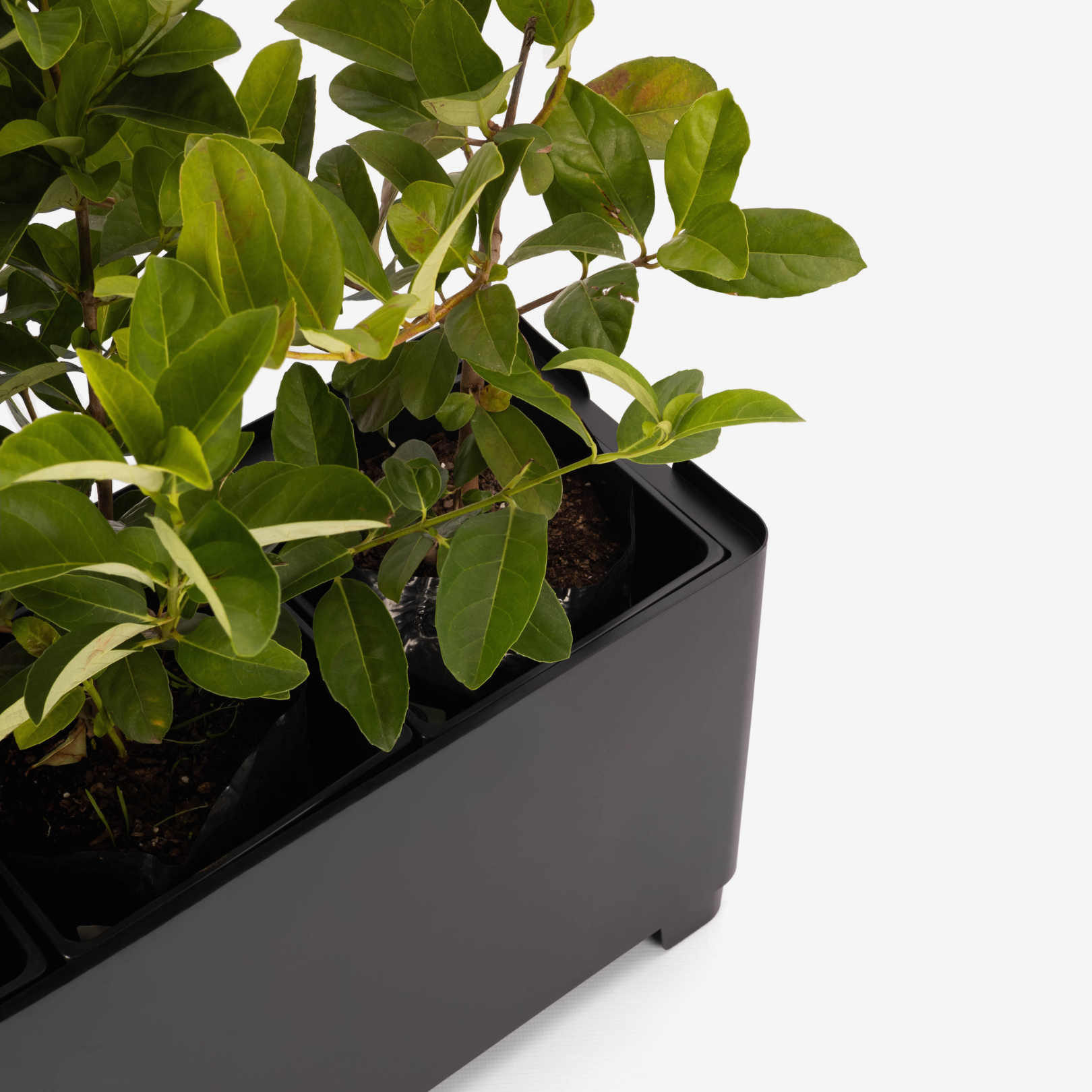 Soft Edge Planter - Black