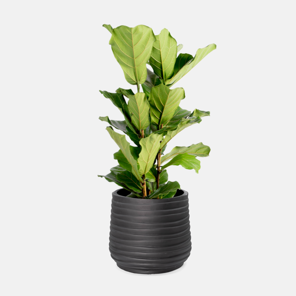 Swirl Floor Planter - Black