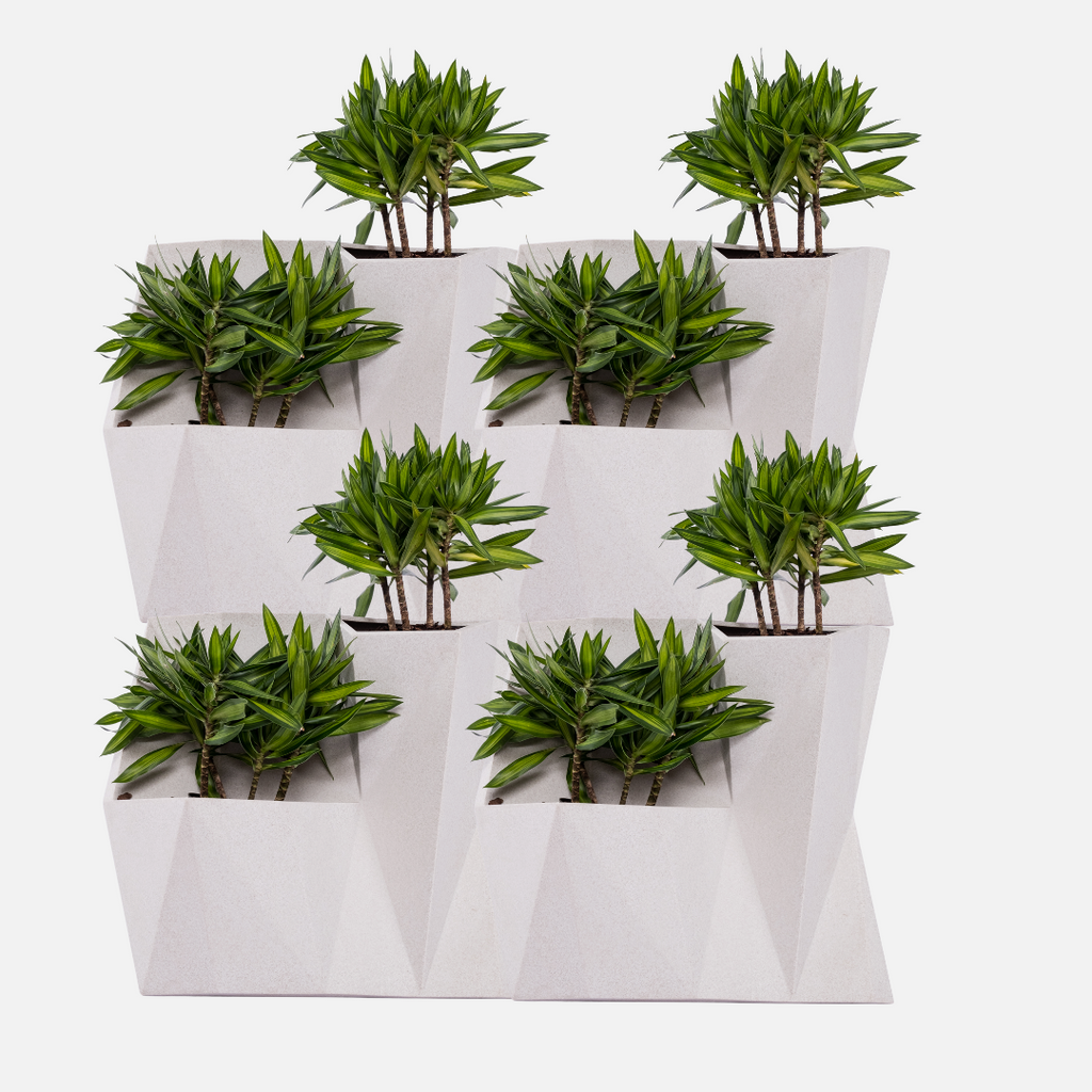 Anglo Wall Planter - Off White