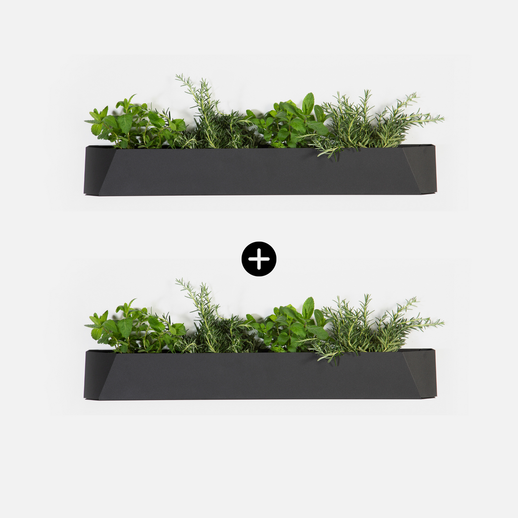 Herb Box - Set of Two
