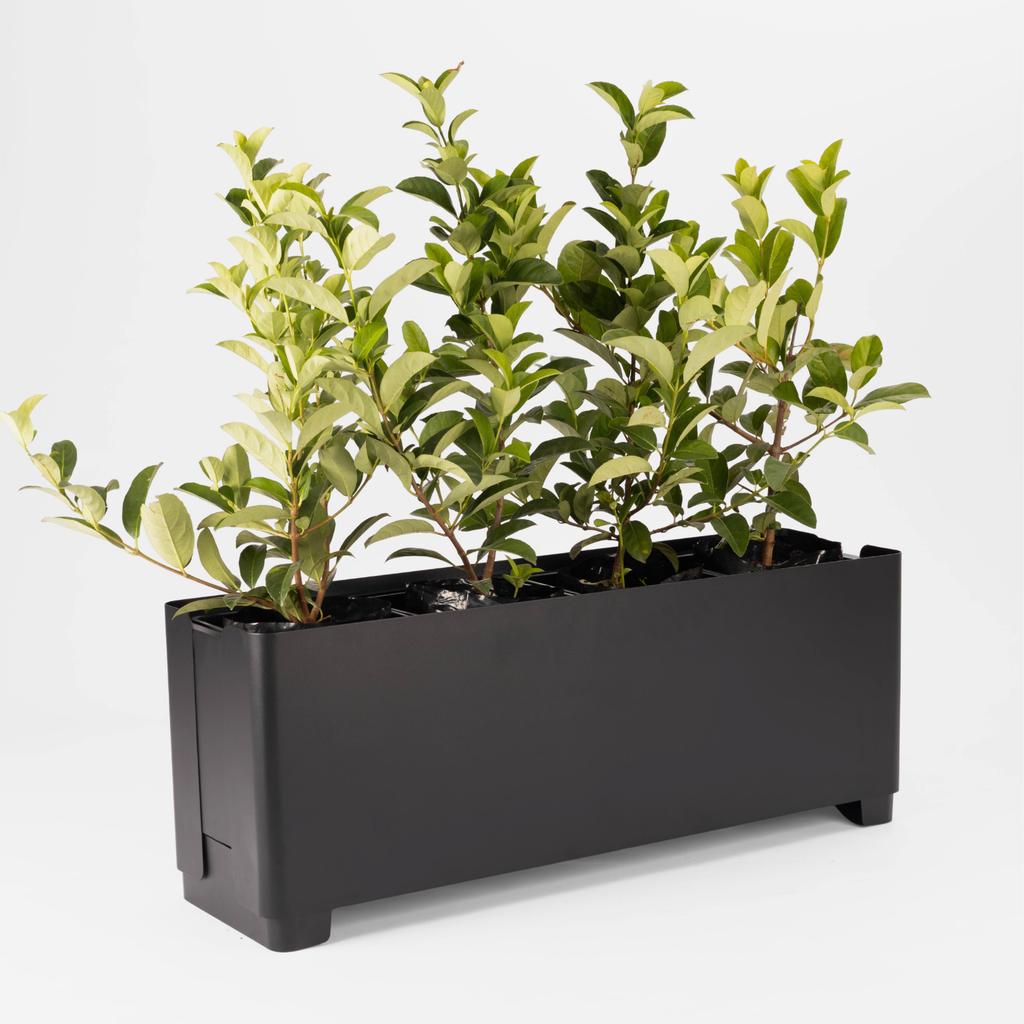 Soft Edge Planter - Black