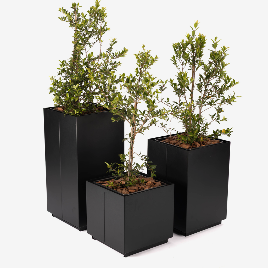 CUBE Planter - 60cm