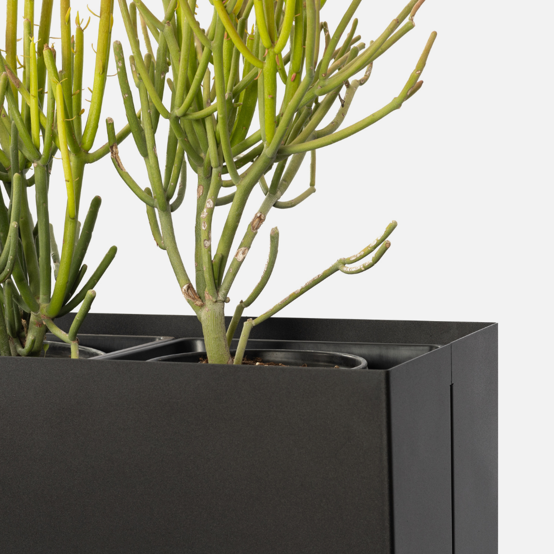 Soho Box Planter - Extra Large