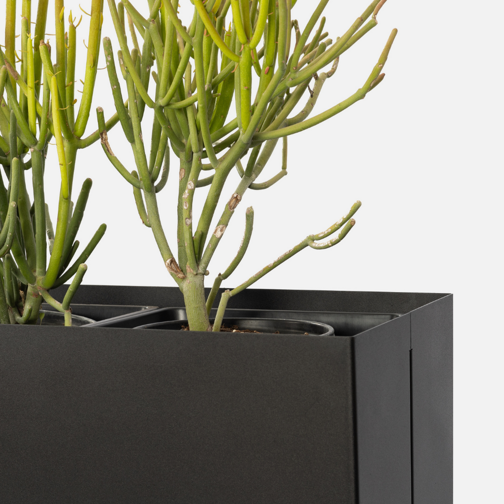 Soho Box Planter - Extra Large