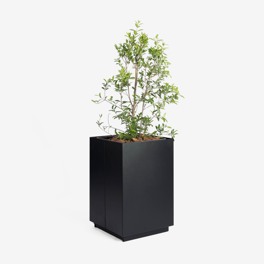 CUBE Planter - 60cm