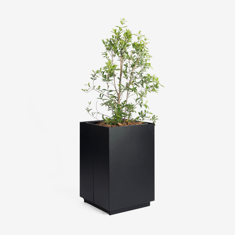 CUBE Planter - 60cm