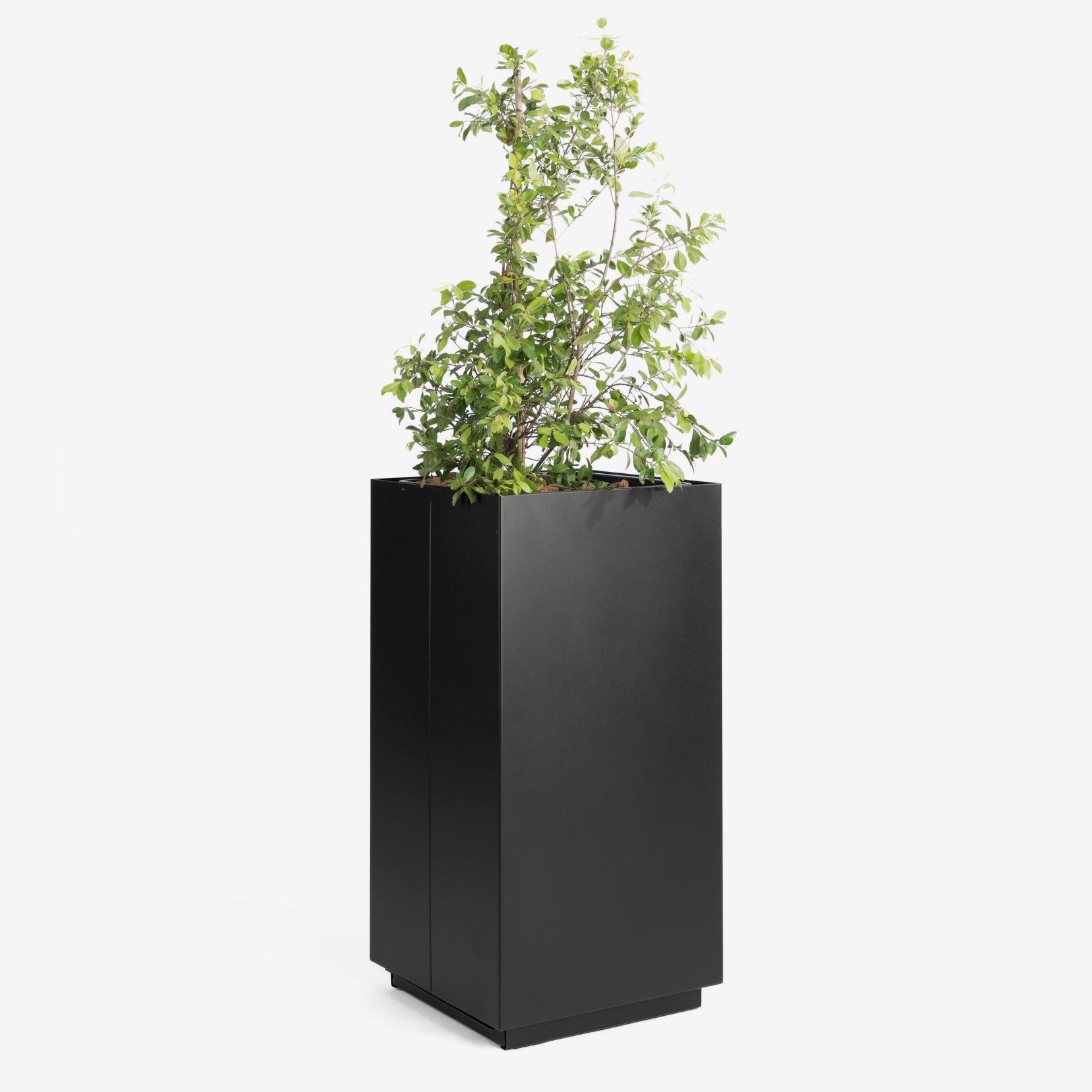 CUBE Planter - 80cm