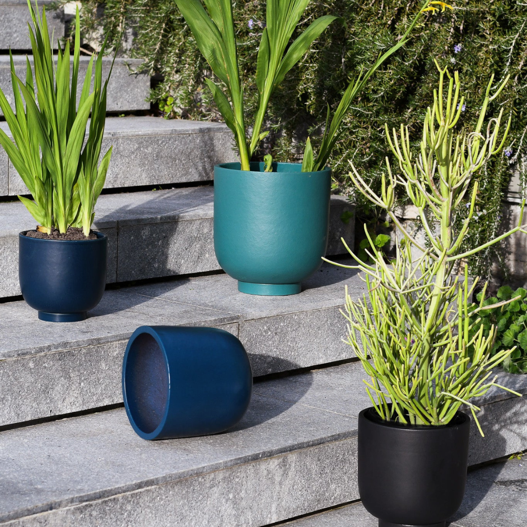 U-Planter & Tray - Black