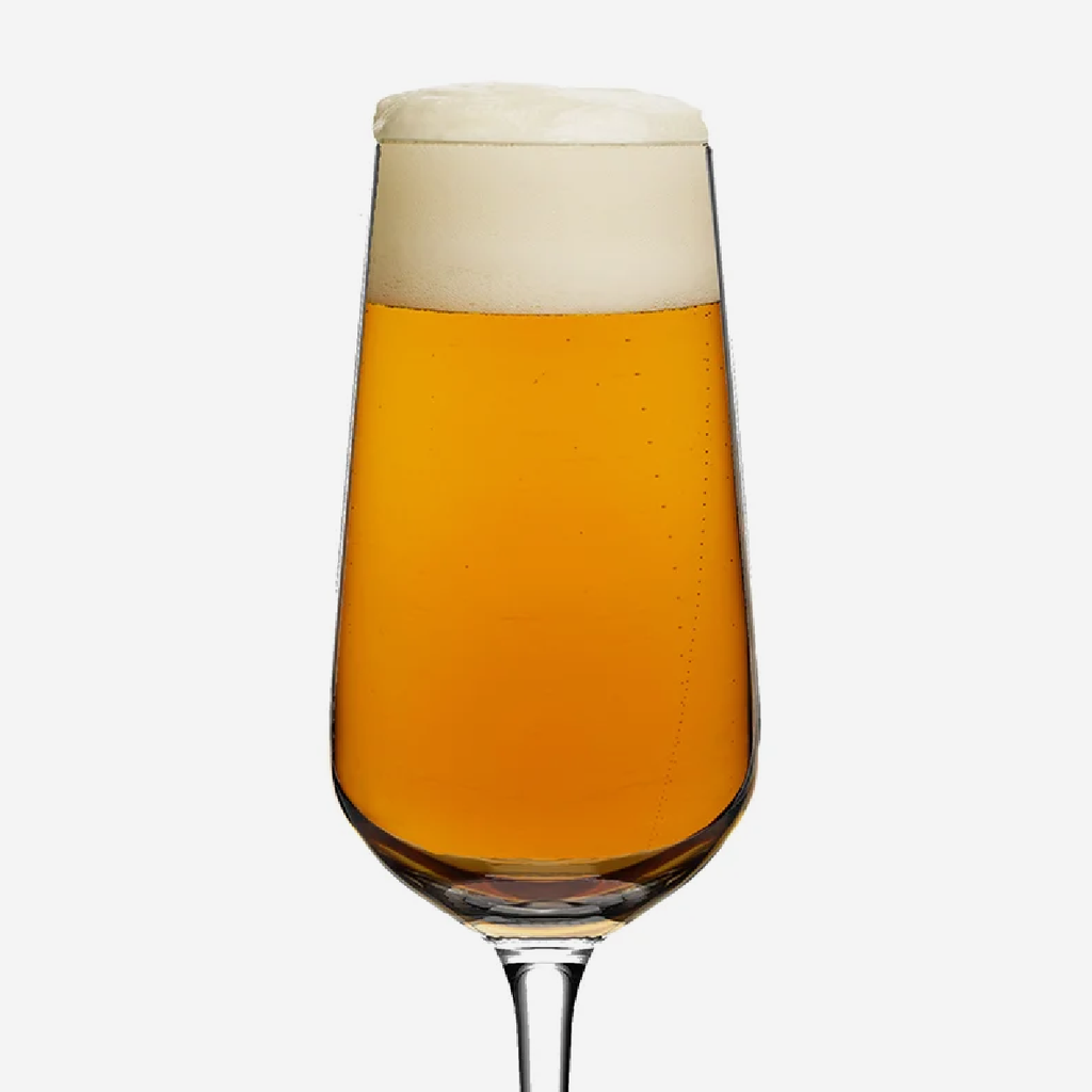 Ritzenhoff Aspergo Beer Glass - Set Of 6
