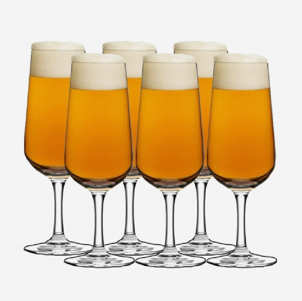 Ritzenhoff Aspergo Beer Glass - Set Of 6