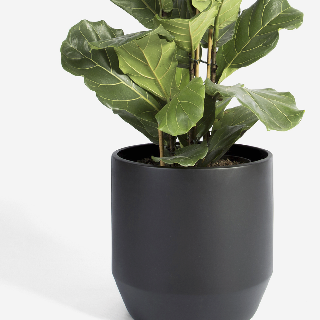 Bullet Planter - Black