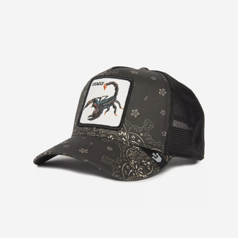 Diamonds and Pearls Trucker - Black