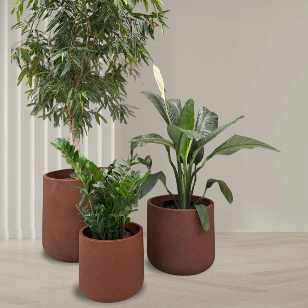 Nativa Planter - Corten Steel