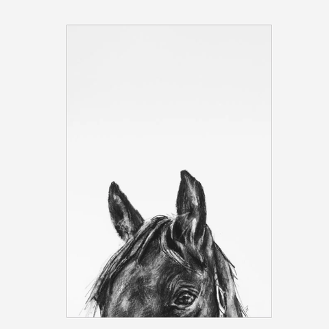 Art Poster A3 - Hello Horse