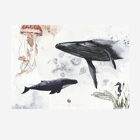 Paper Placemats - Whale Song