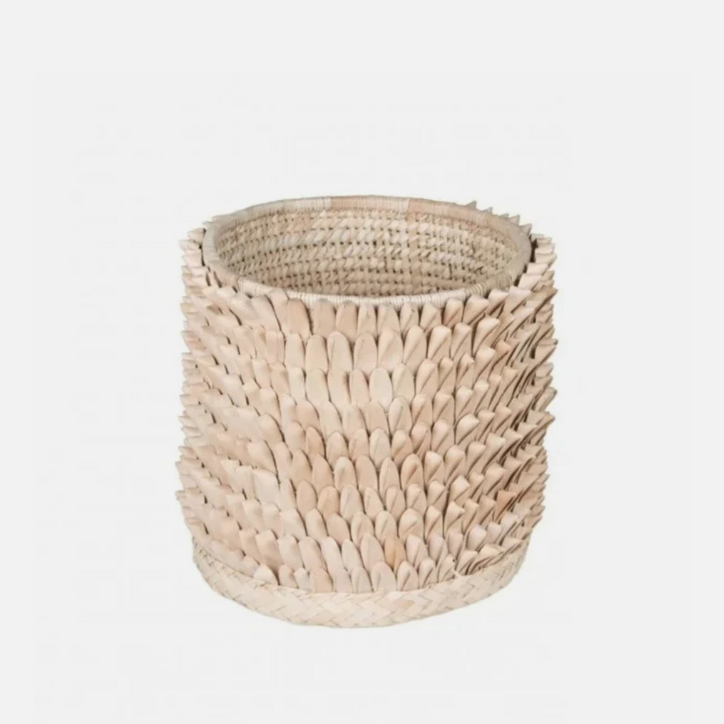 Porcupine Planter