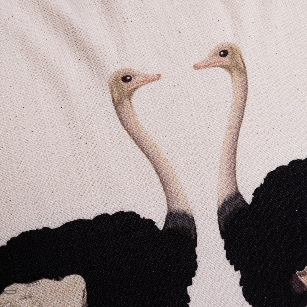 Scatter Cushion & Inner - Ostrich Lovers