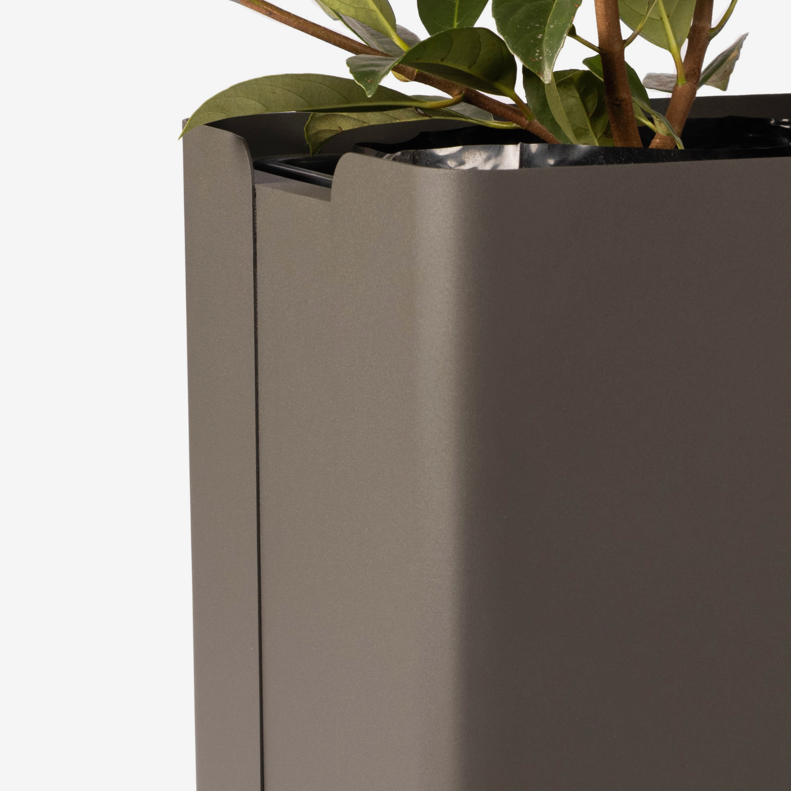 Gray rectangular planter with a plant on a white background