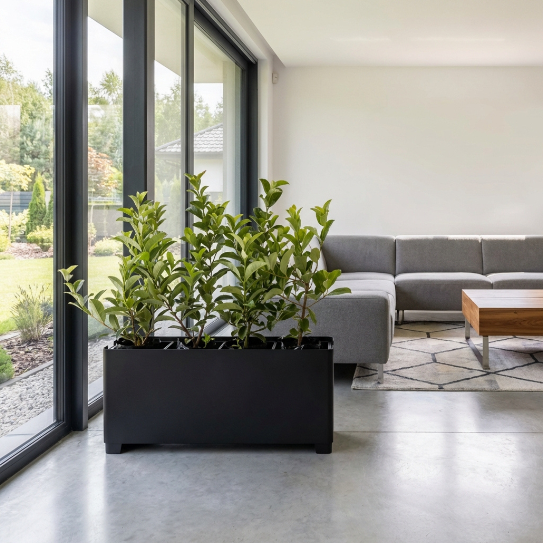 Modern living room with a black planter holding green plants near large windows.