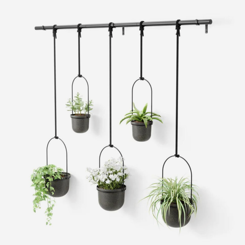 Triflora Hanging Planter 5 - Black on Black