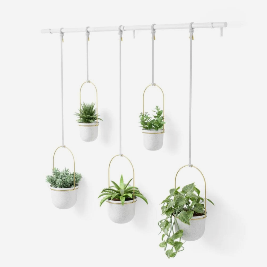 Triflora Hanging Planter 5 - White & Brass