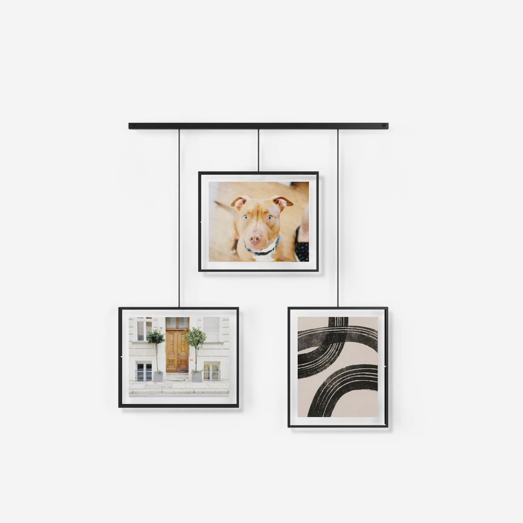 Exhibit Photo Display Set Of 3 - Black