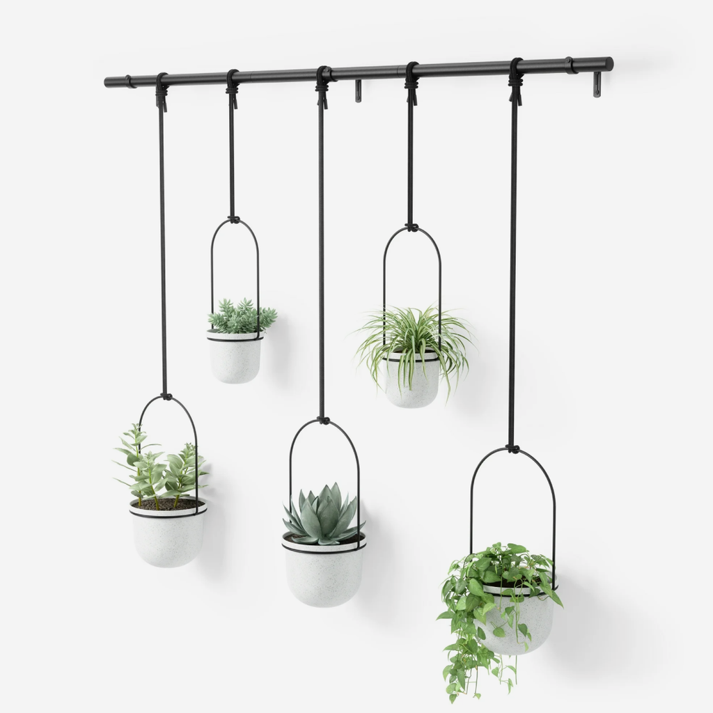 Triflora Hanging Planter 5 - Black & White