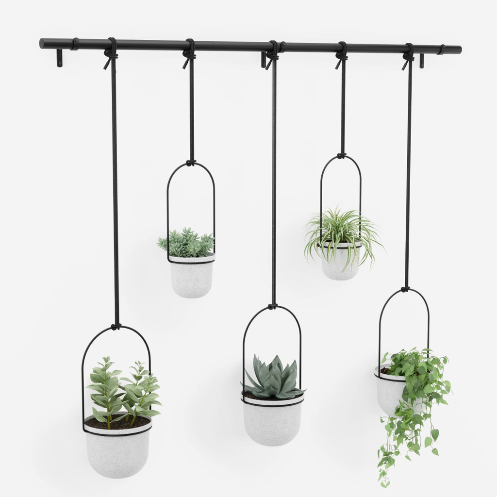 Triflora Hanging Planter 5 - Black & White