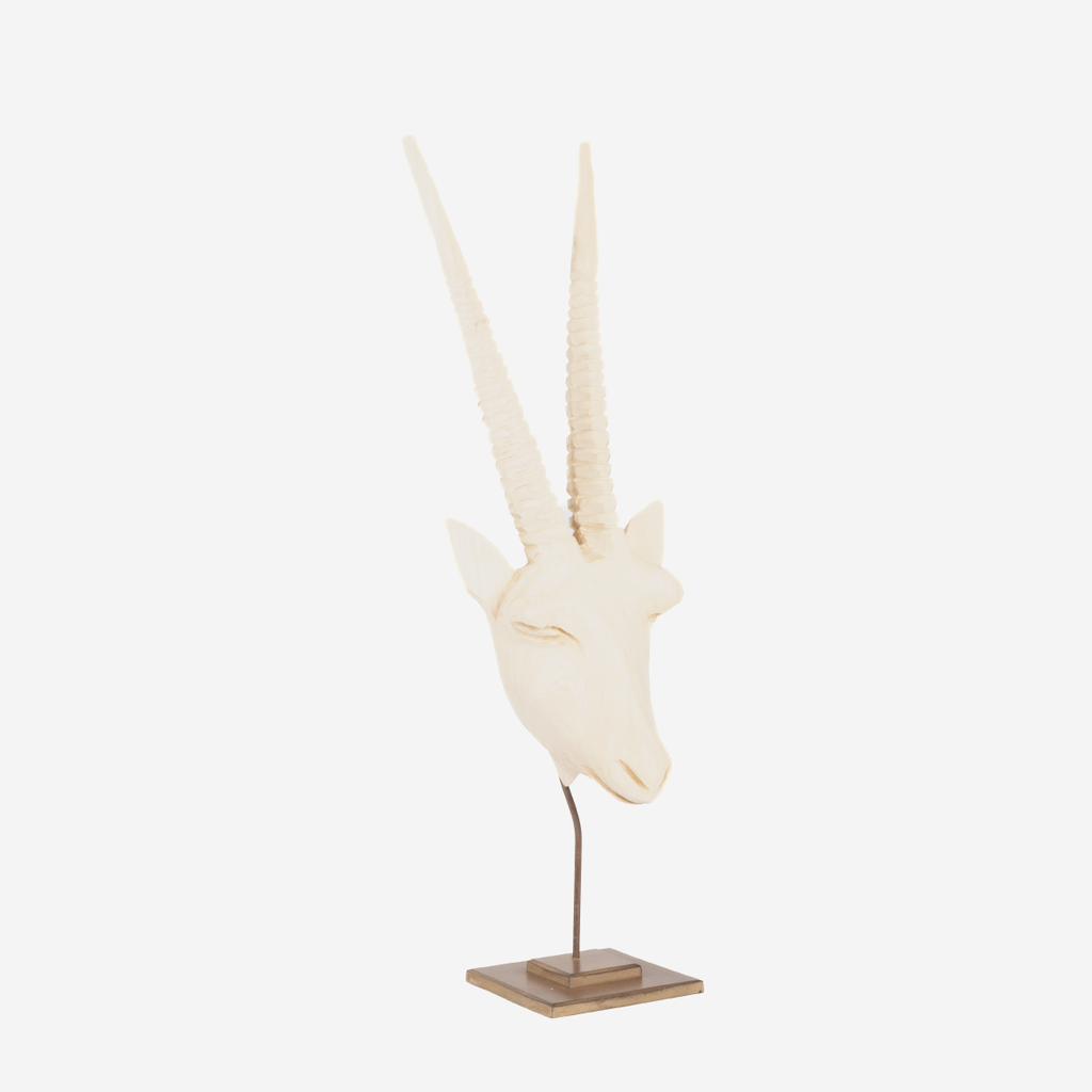 Gemsbok Head - Natural