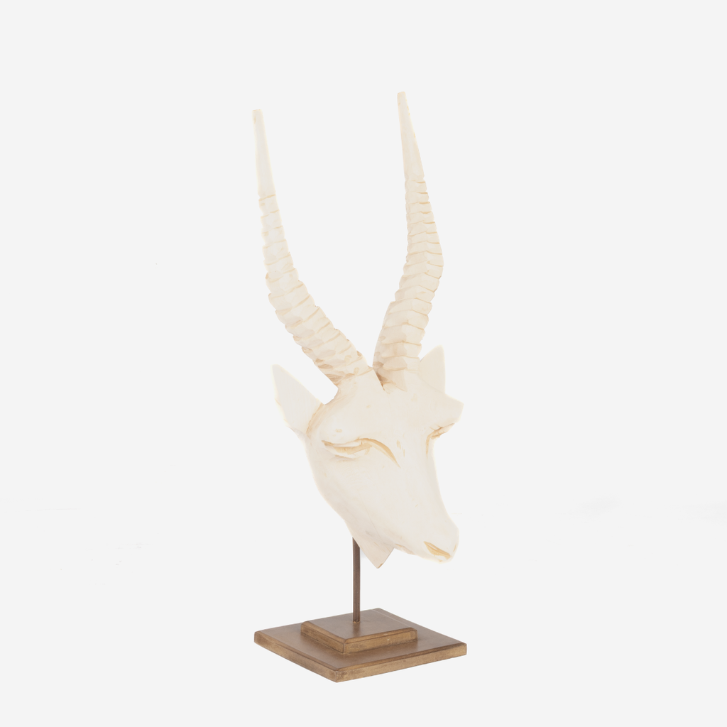 Springbok Head - Natural