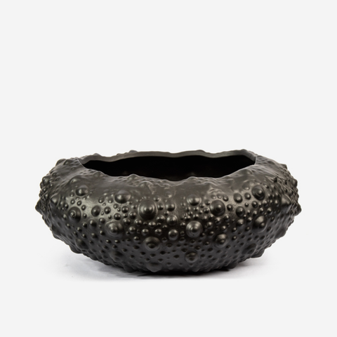 Sea Shell Bowl - Black