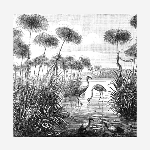 Wallpaper - Flamingo Ensemble Sketch