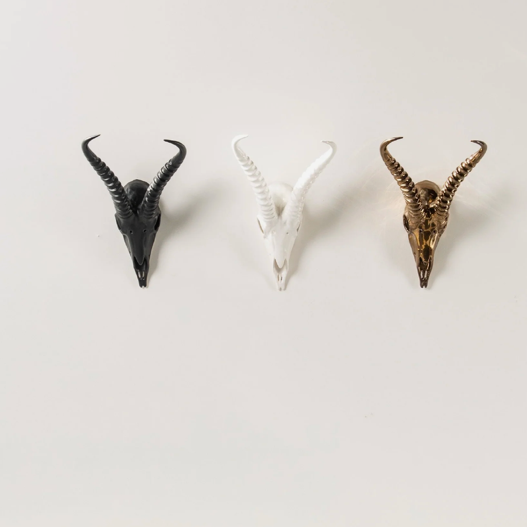 Impala Skull - White