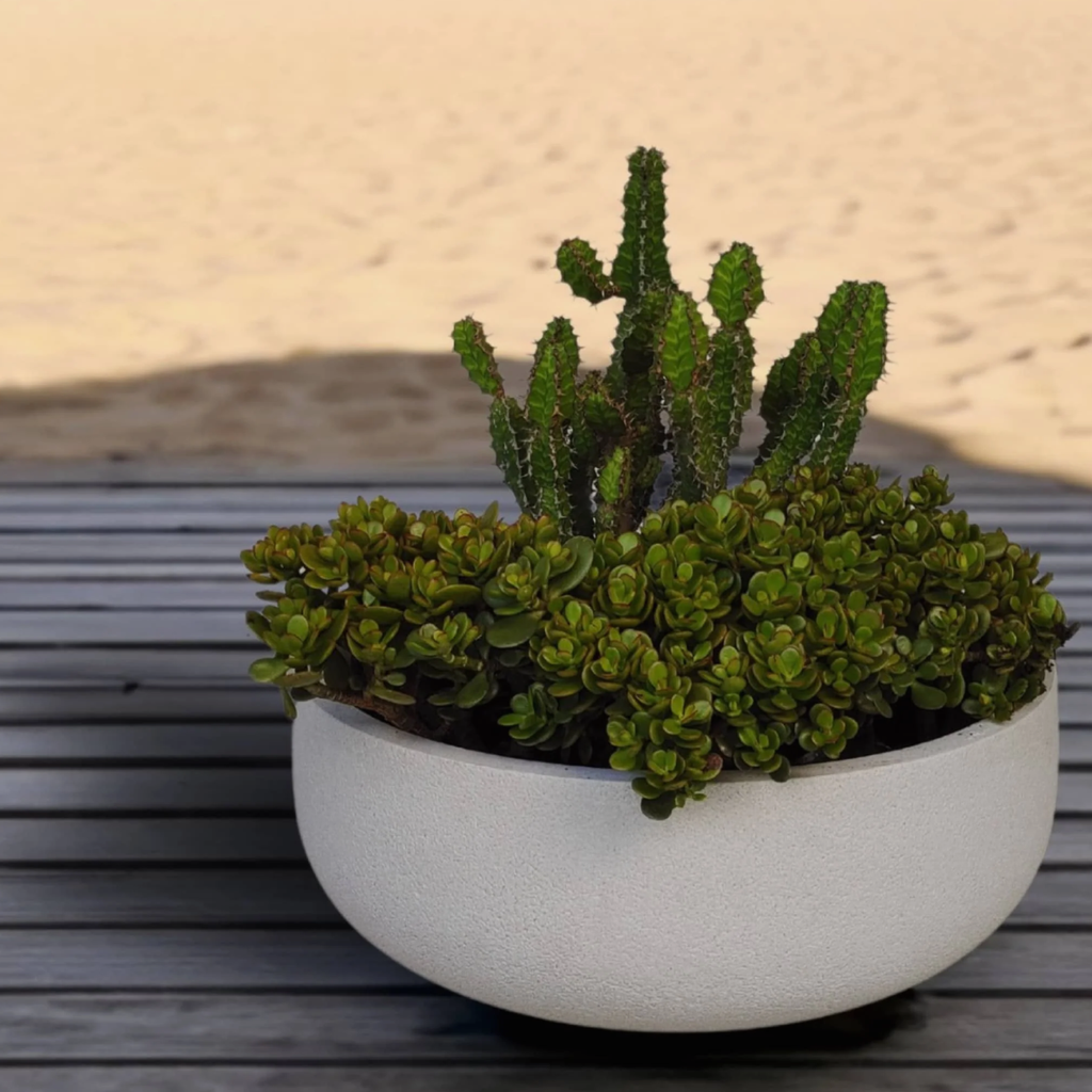 Deco Planter - Off White