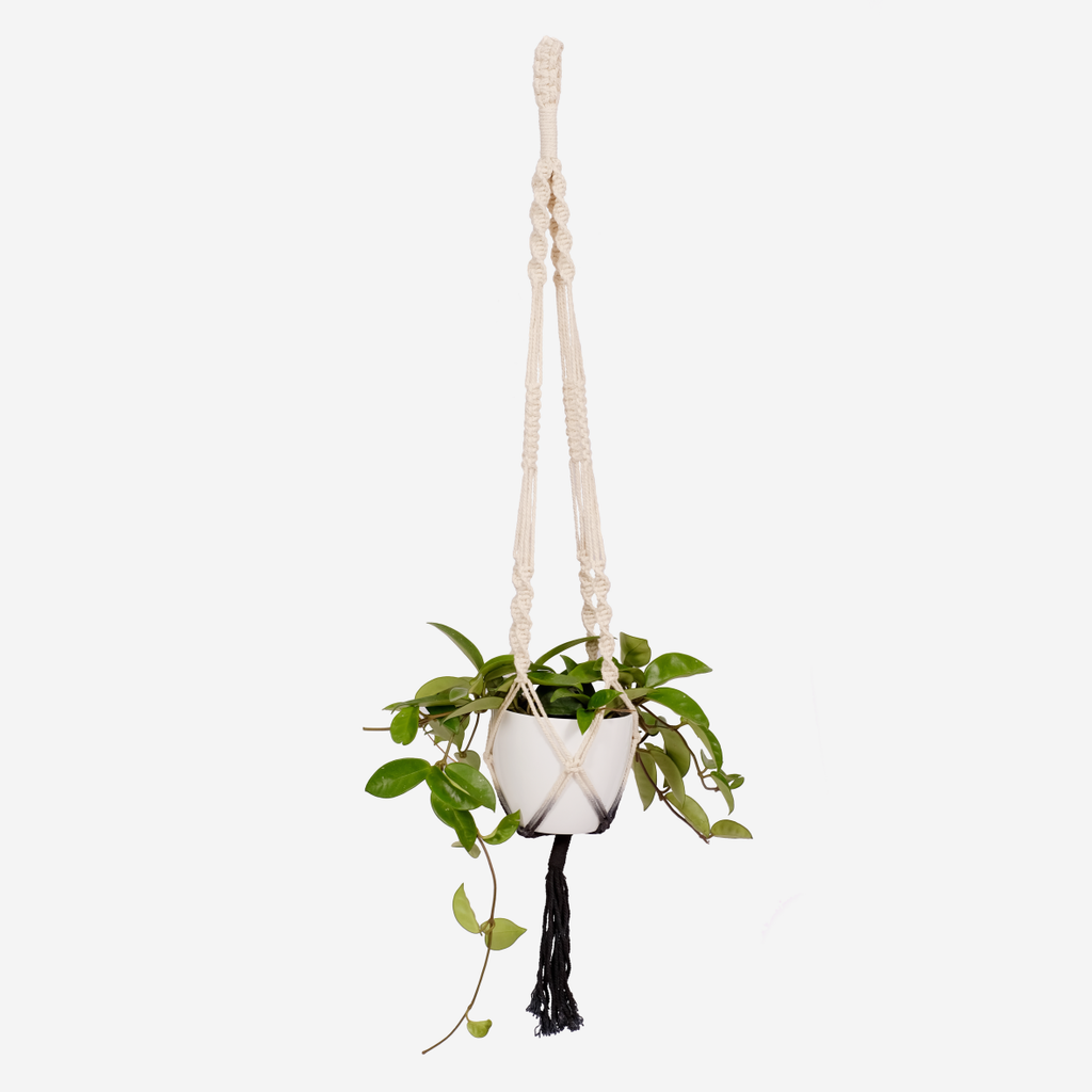 Macramé Plant Hanger - Dual Dip