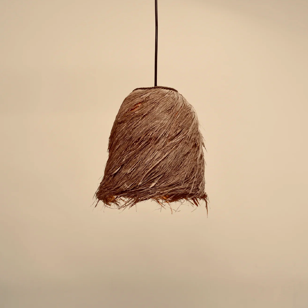 Bird's Nest Lampshade Pendant