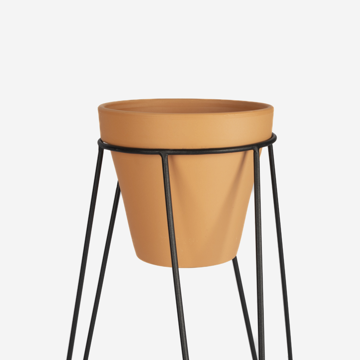Hairpin Plant Stand