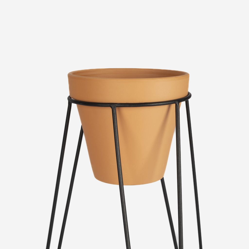 Hairpin Plant Stand