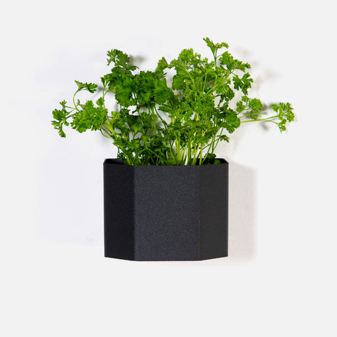 Herb Box Mini - Black