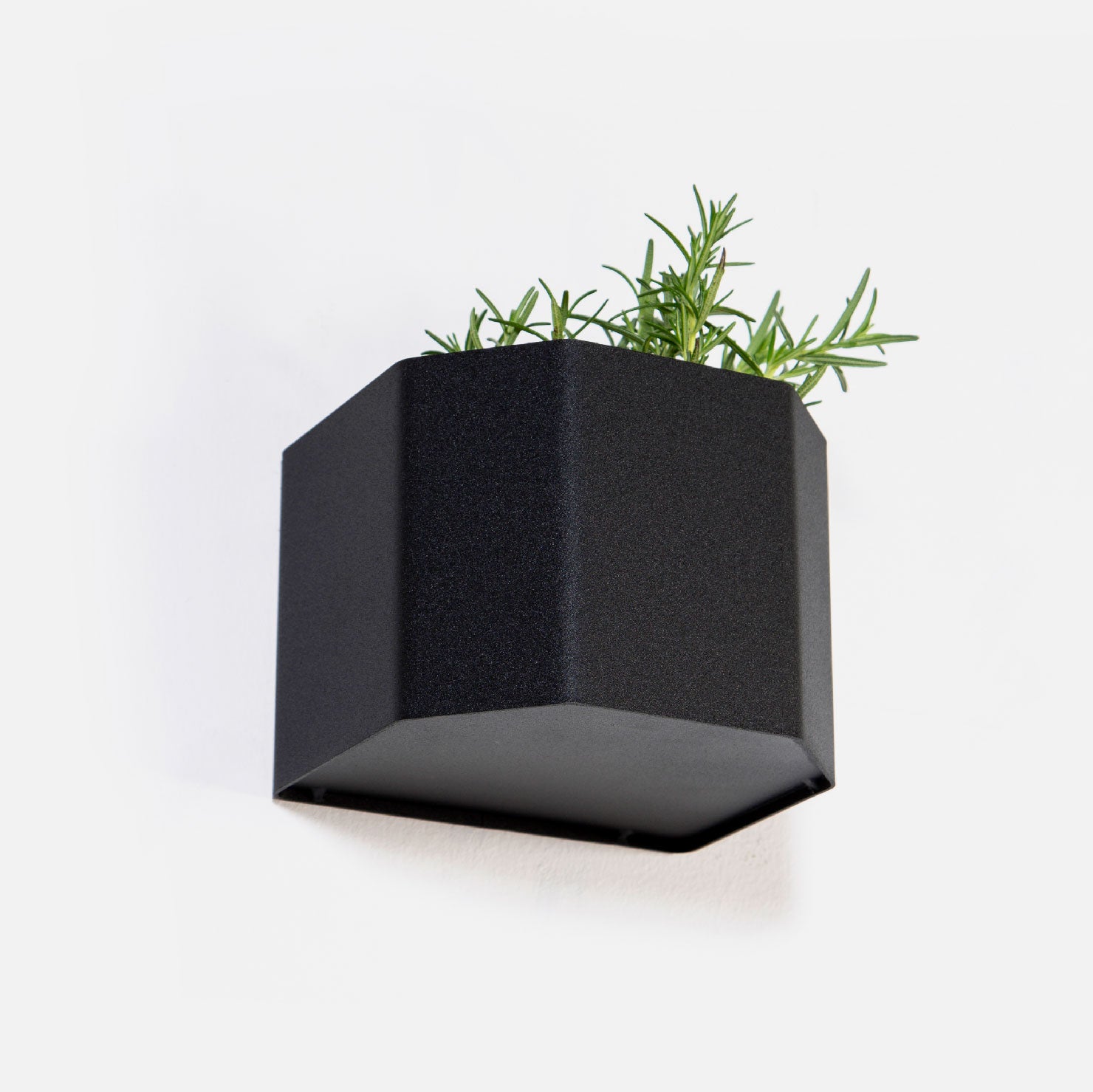 Herb Box Mini - Black