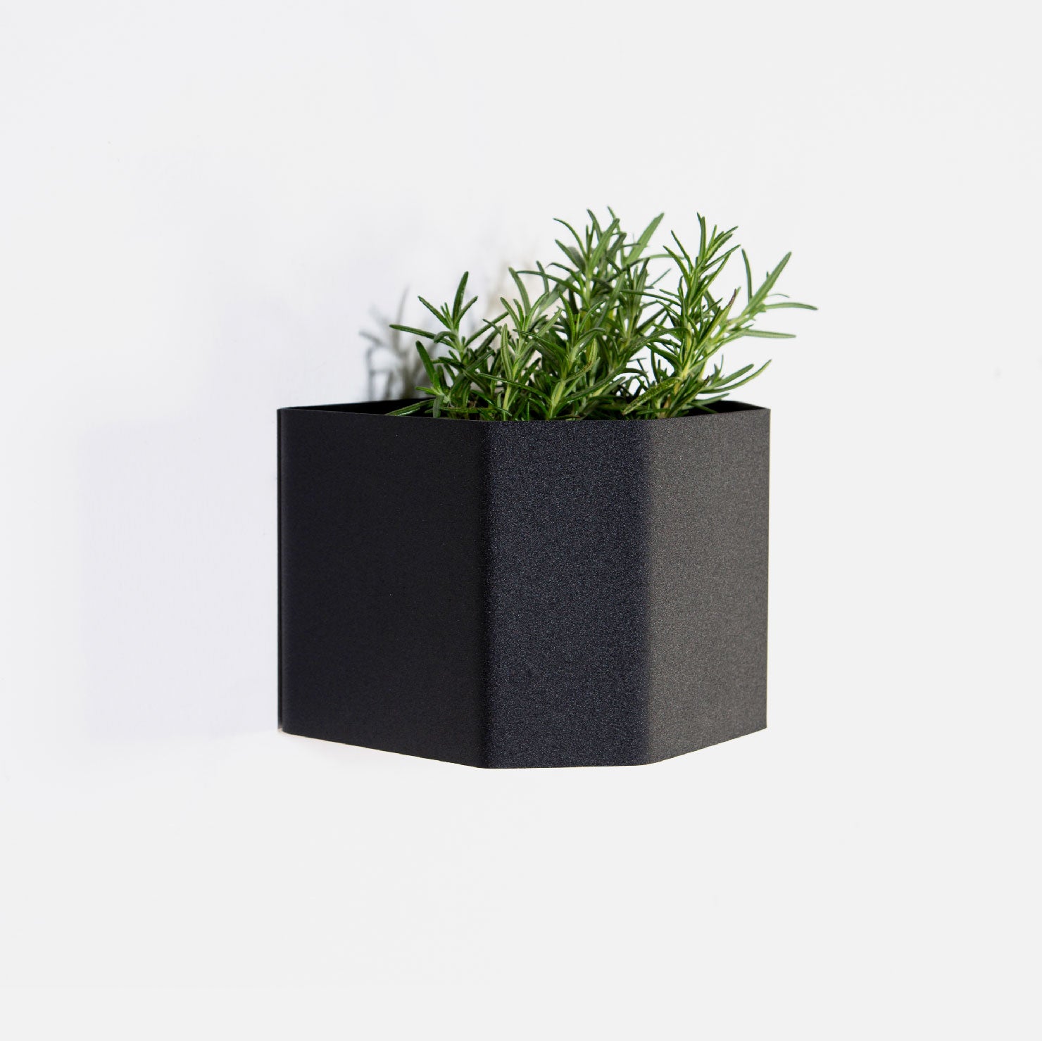 Herb Box Mini - Black