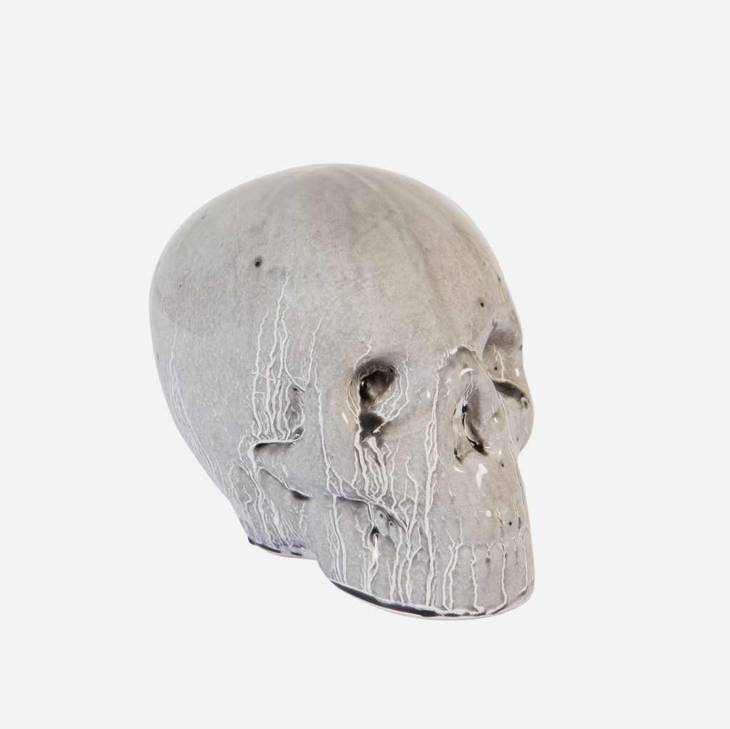 Human Skull - Grey