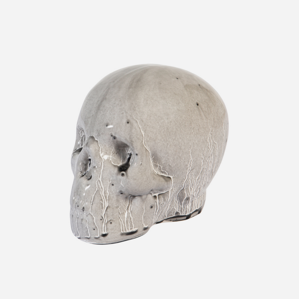 Human Skull - Grey