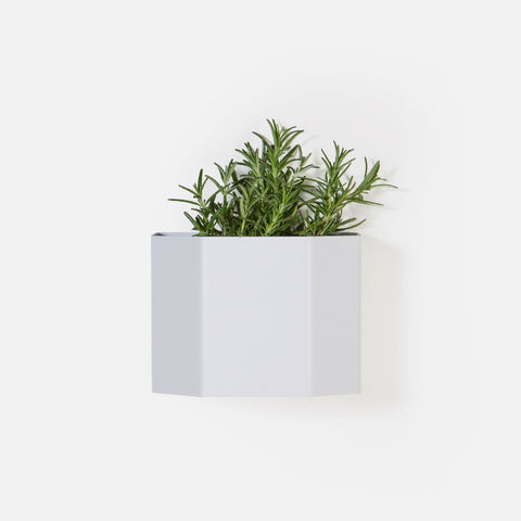 Herb Box Mini - White