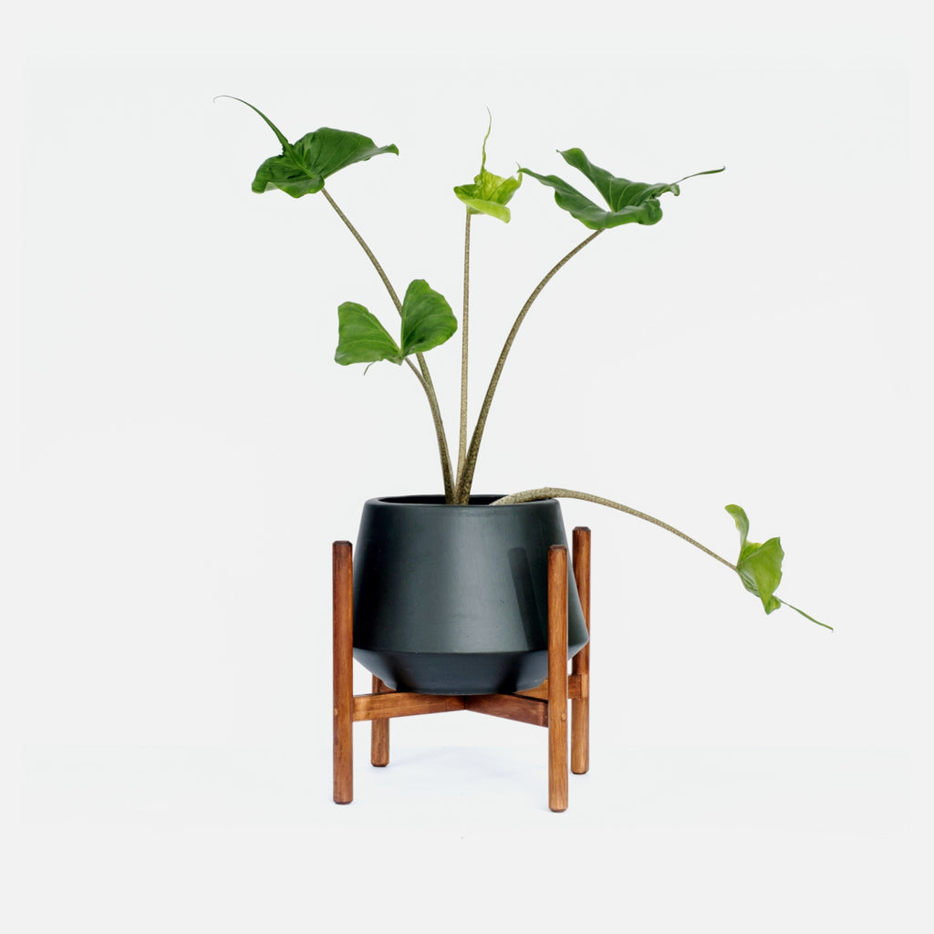 Mila Floor Planter with Stand - Black