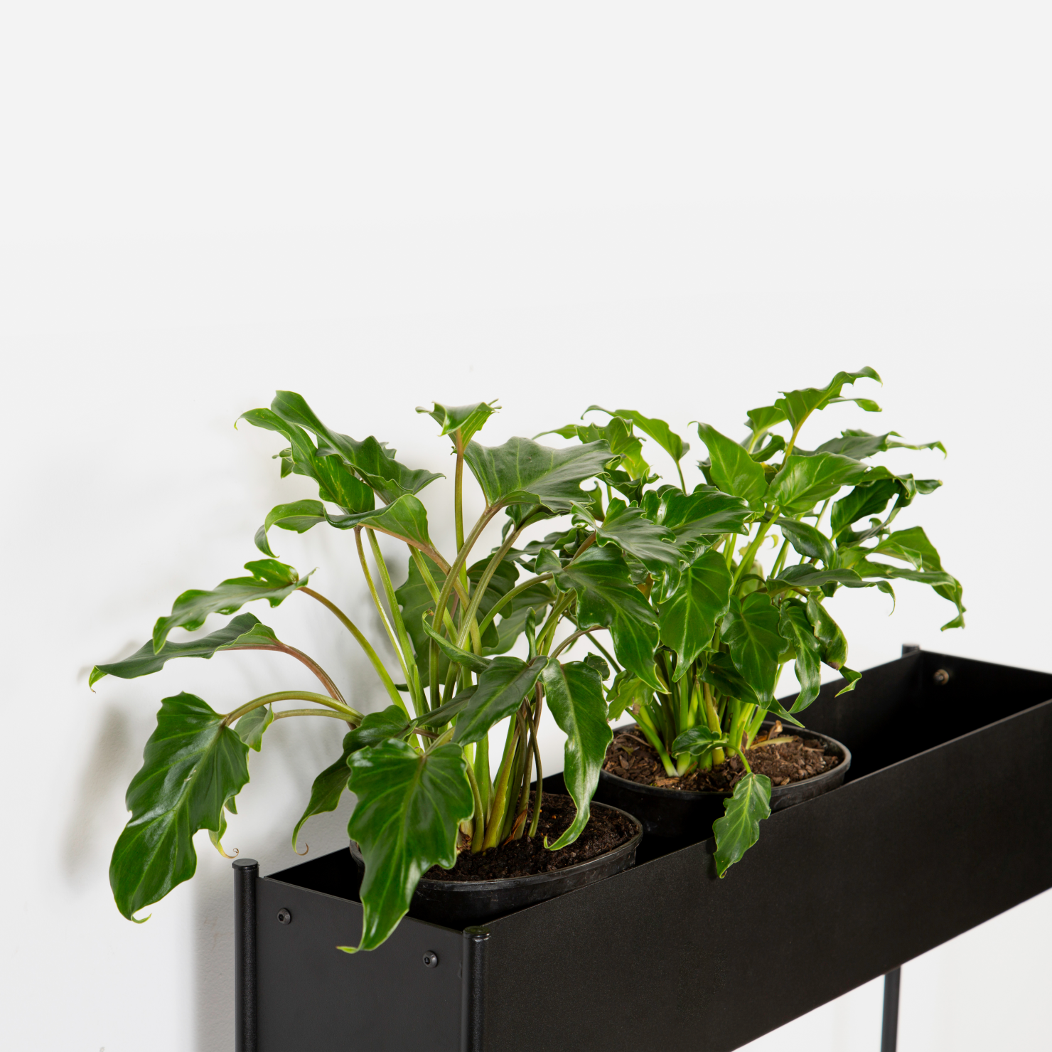 Slim Steady Planter