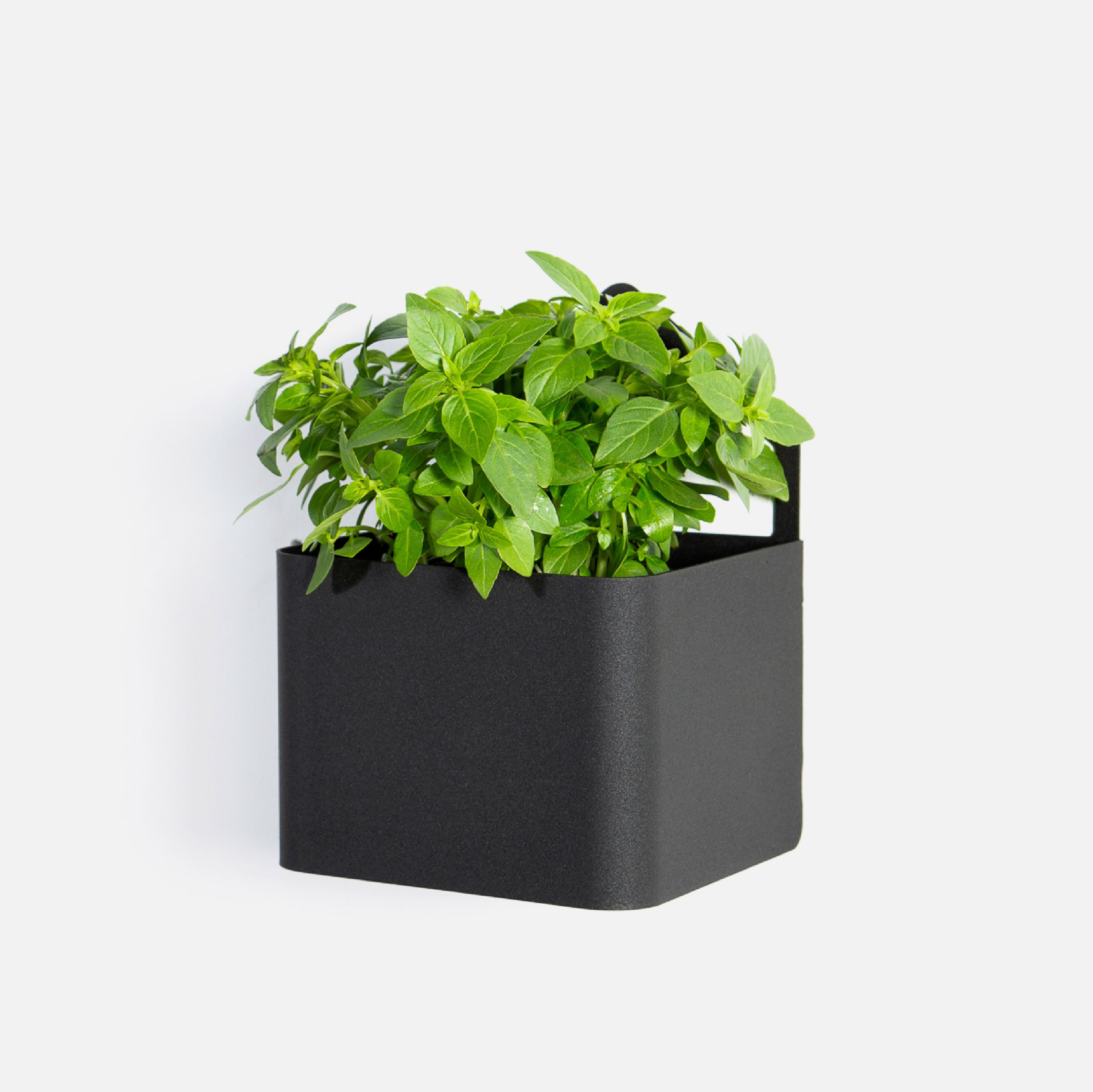 Sucasa Herb Box