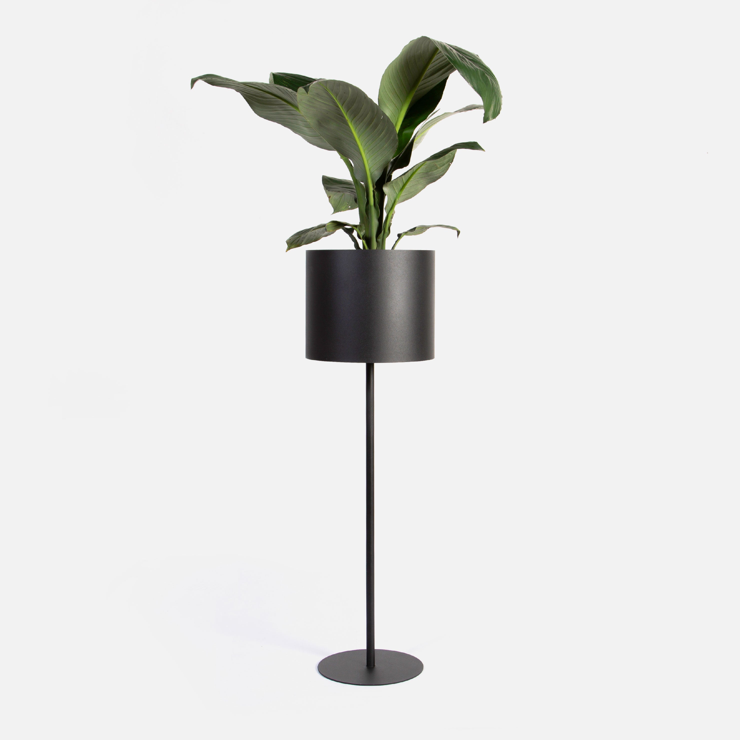 Vino Plant Stand - Black
